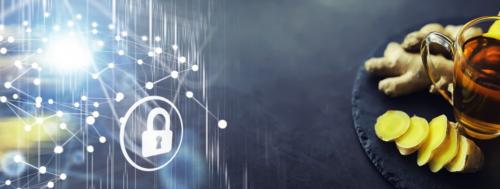 CAOS Pro v2.4.0 introduces increase GDPR compliane for Google Analytics